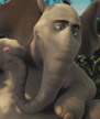horton jim carrey