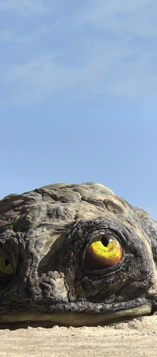 An Introduction to Rango - Film On Air Magazine