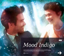 Mood Indigo / L'Ecume des Jours (France)