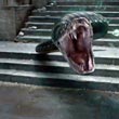 Snake
 in Harry Potter and the Deathly Hallows Part 2