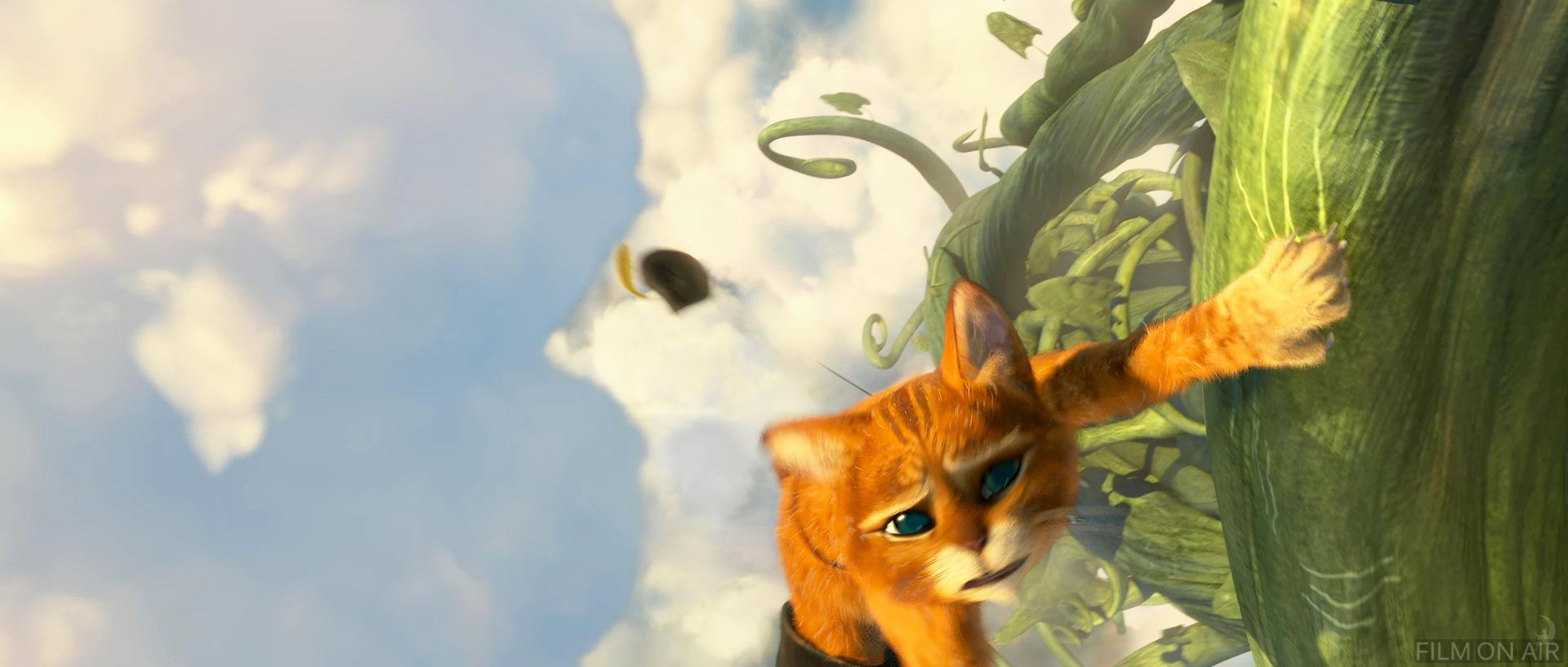 Puss Beanstalk
 in Puss in Boots in Puss in Boots