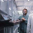 Ape Hand
 in Rise of the Planet of the Apes