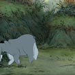 Eeyore Bonks Head
 in Winnie the Pooh