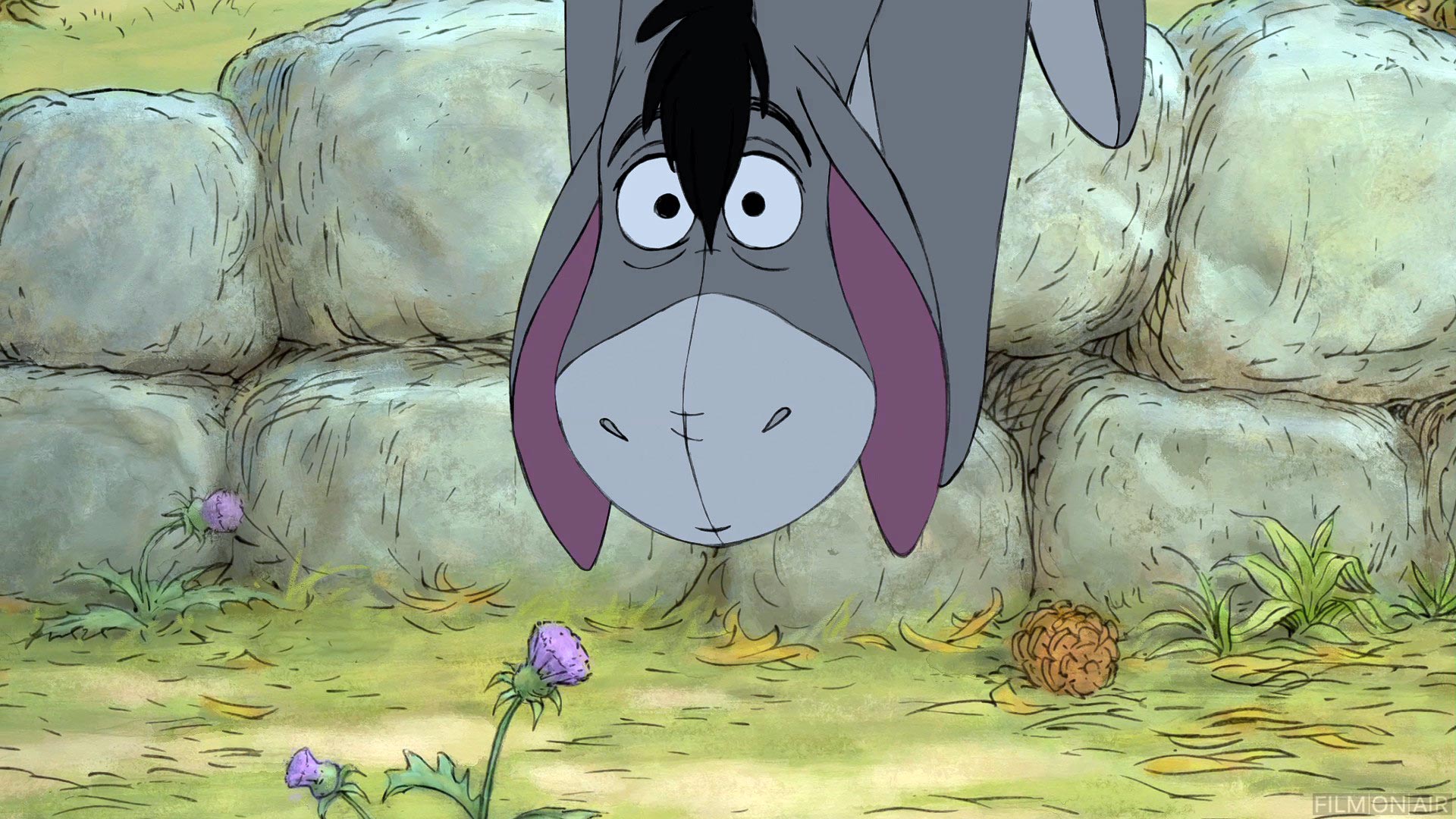 Eeyore Eyes
 in Winnie the Pooh in Winnie the Pooh