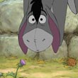 Eeyore Eyes
 in Winnie the Pooh