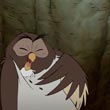 Owl
 in Winnie the Pooh