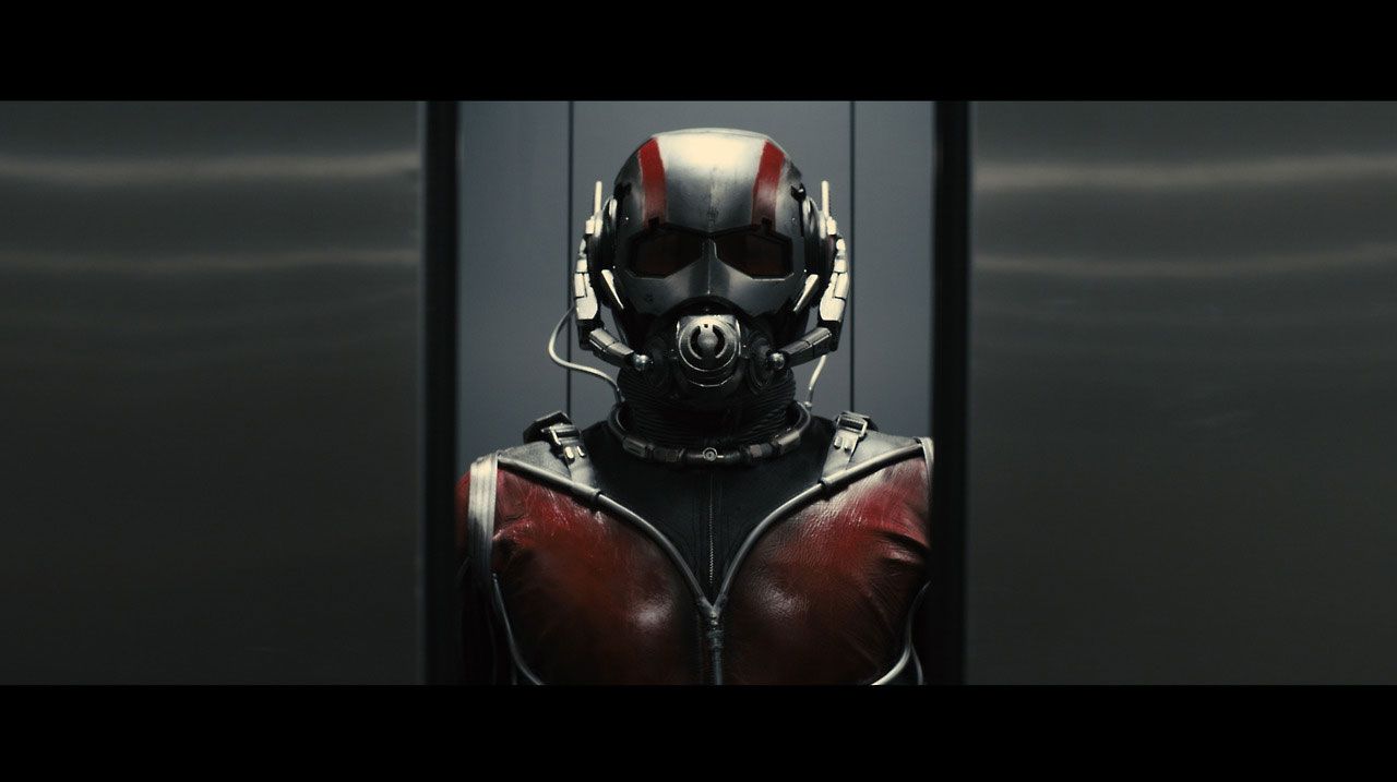 The face of Ant-Man