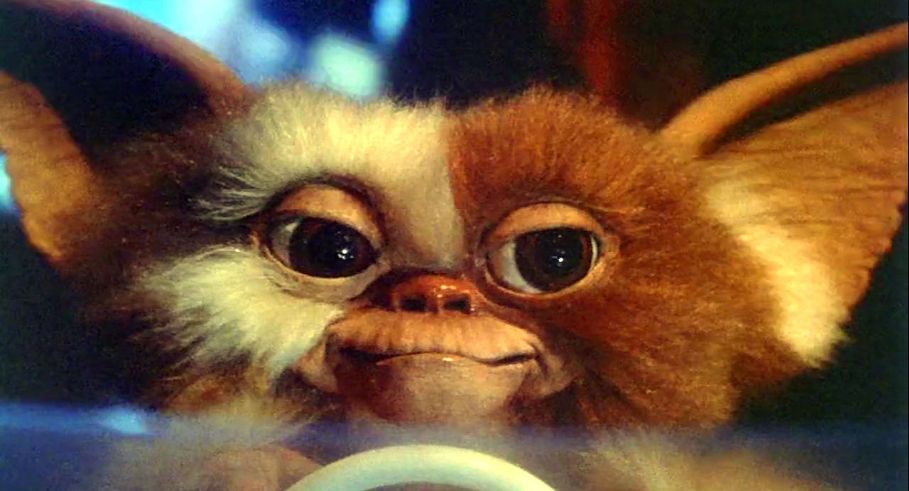 Zach Galligan would welcome a &#039;Gremlins&#039; reboot