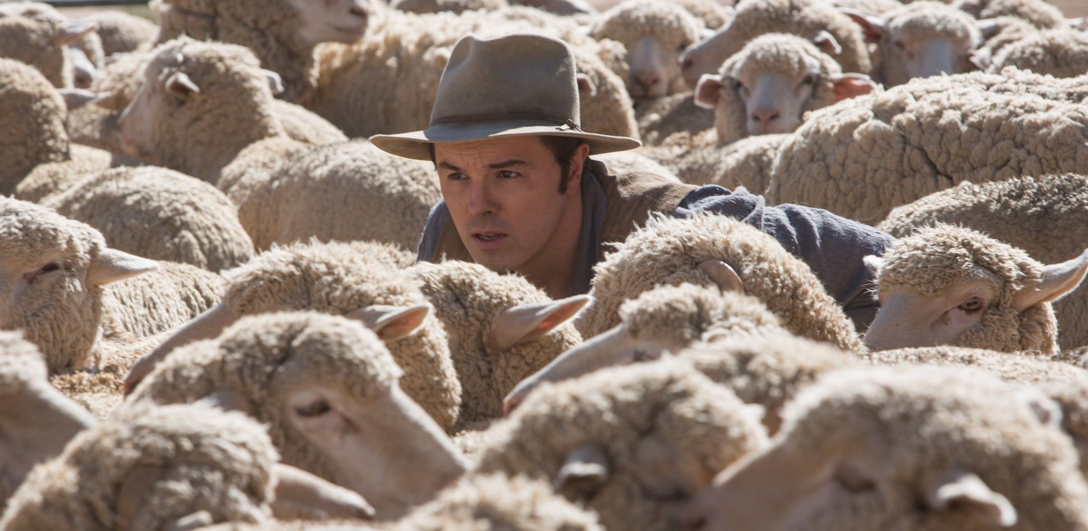 Seth MacFarlane amongst some sheep