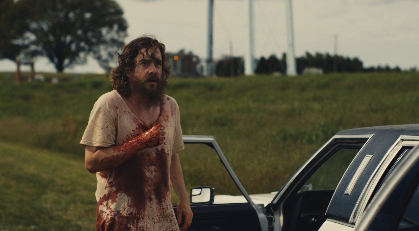 Blue Ruin