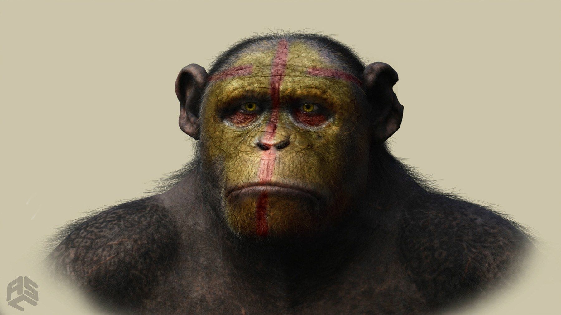 Ceremony Painted Male Ape