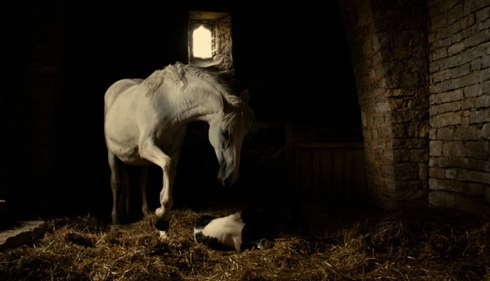 White horse giving birth in Michael Kohlhaas
