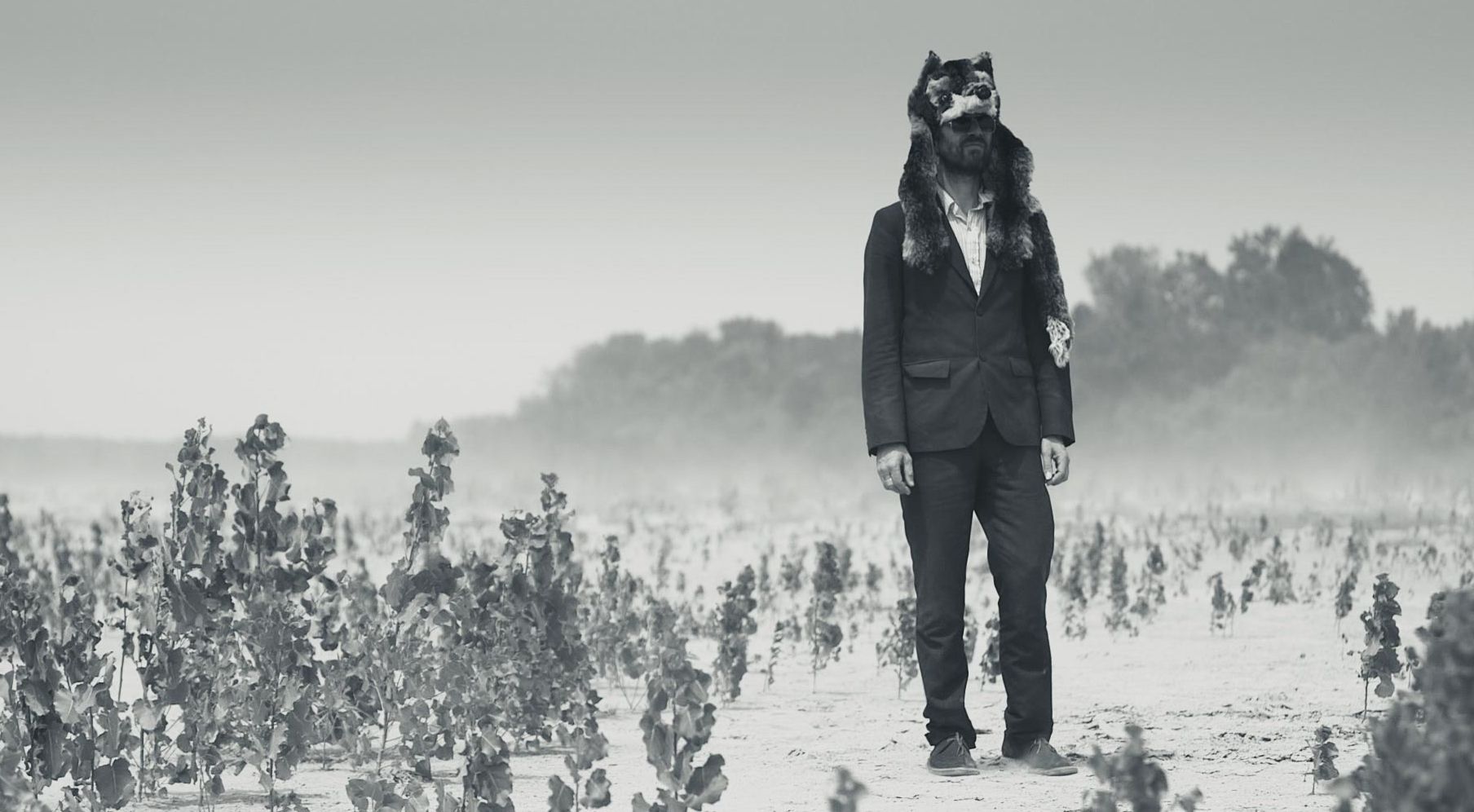 Gruff Rhys with glasses