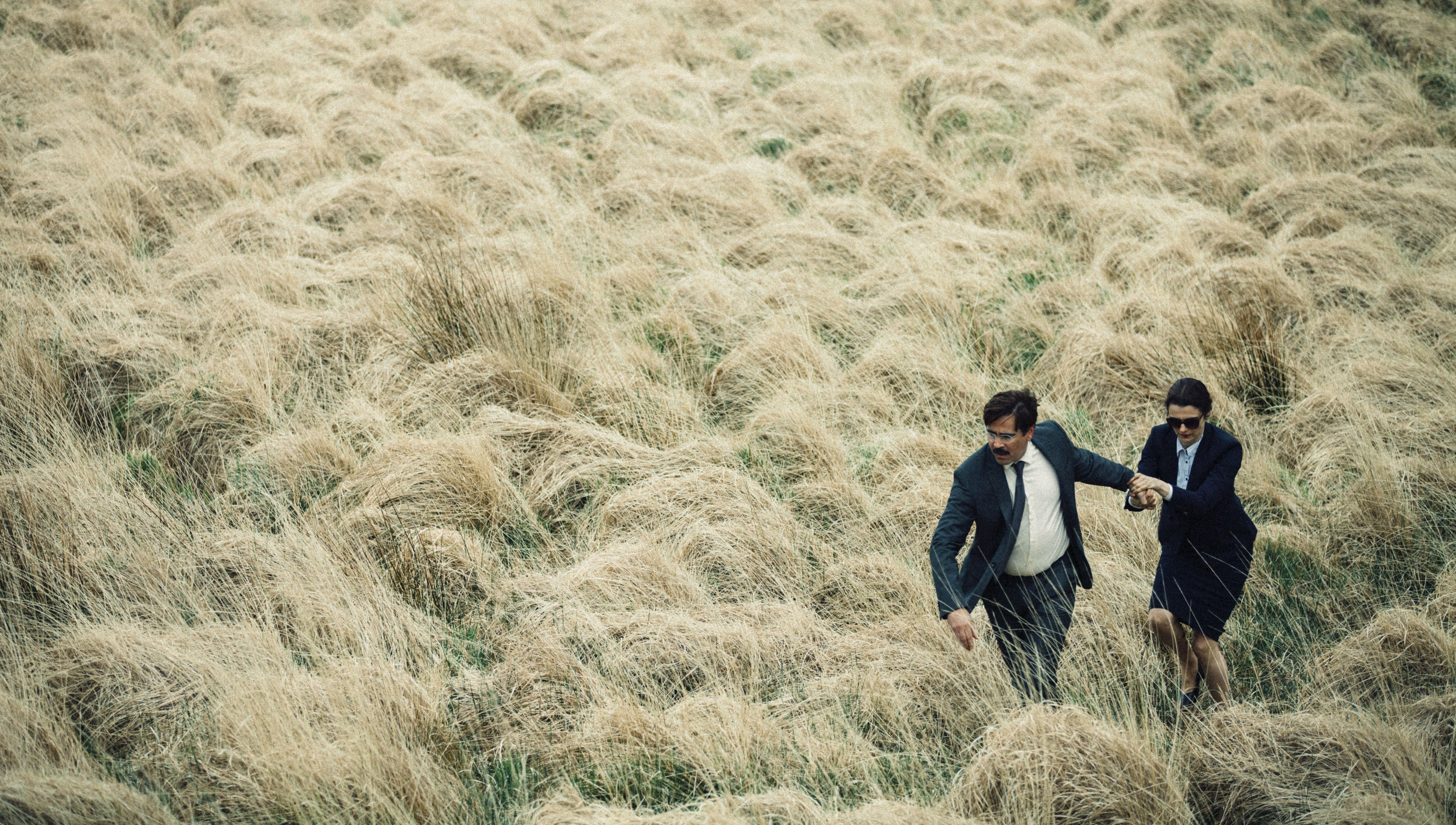Colin Farrell and Rachel Weisz in big field in The Lobster