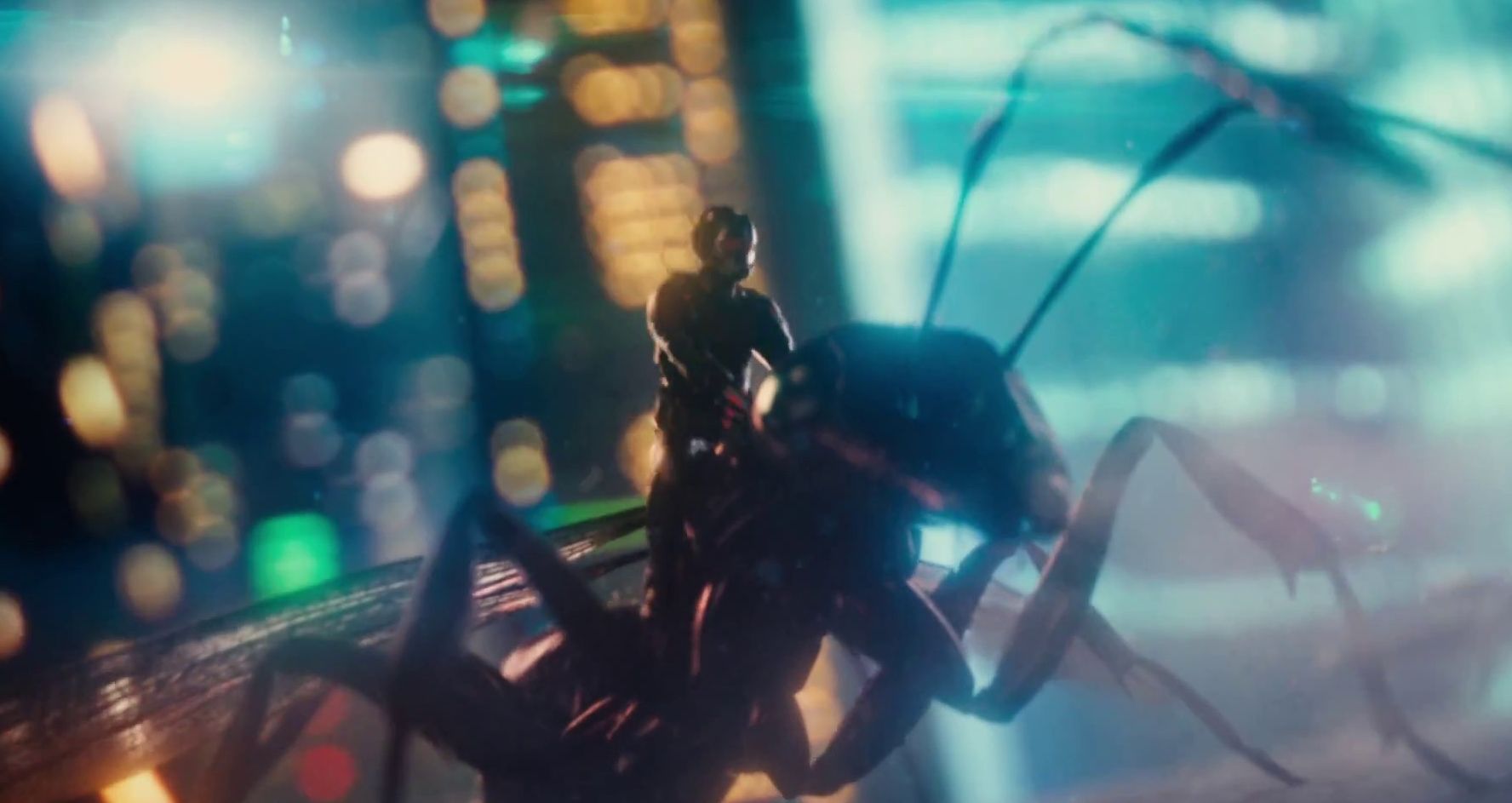 Ant-Man Travels on Insect