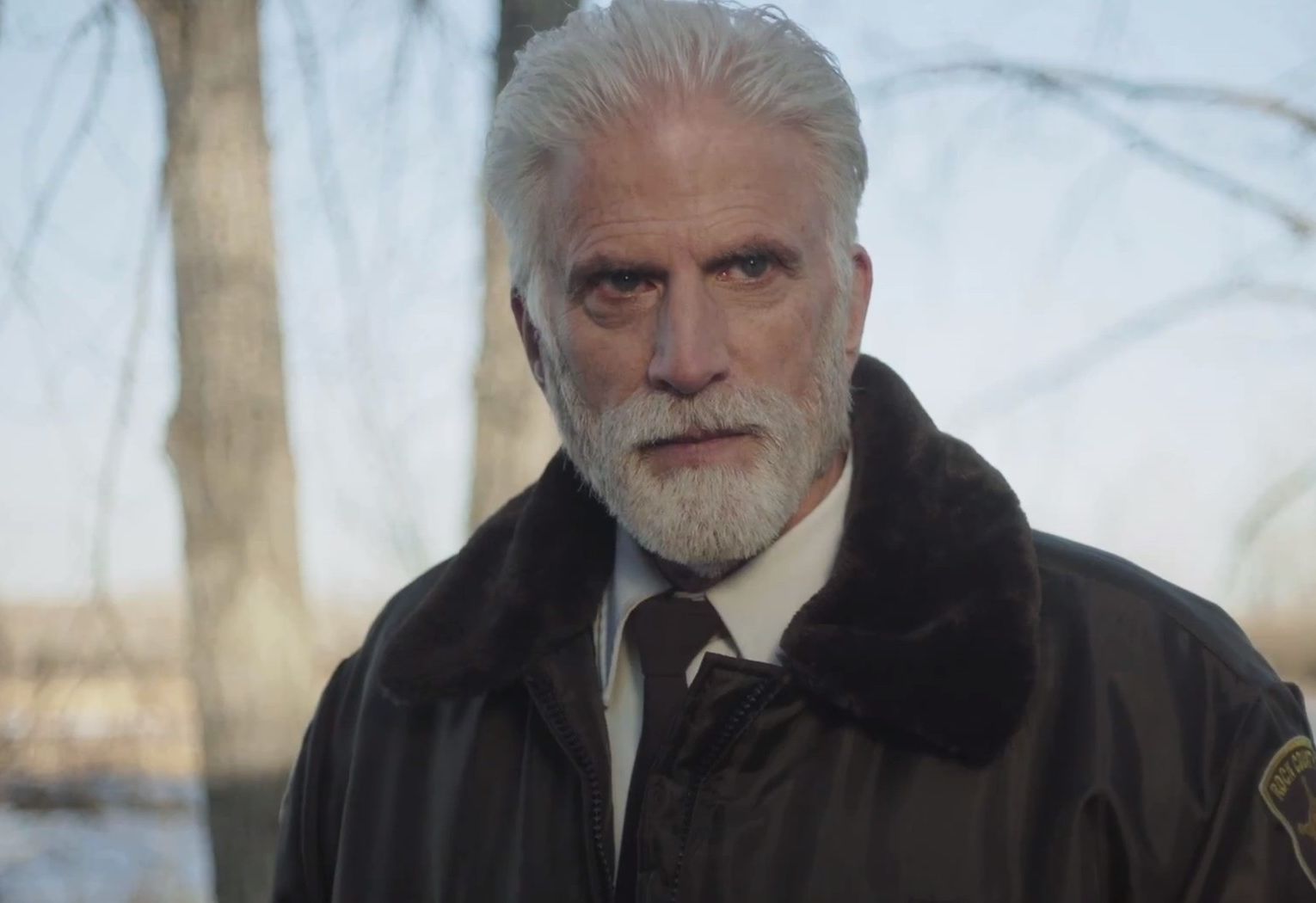 Ted Danson Fargo