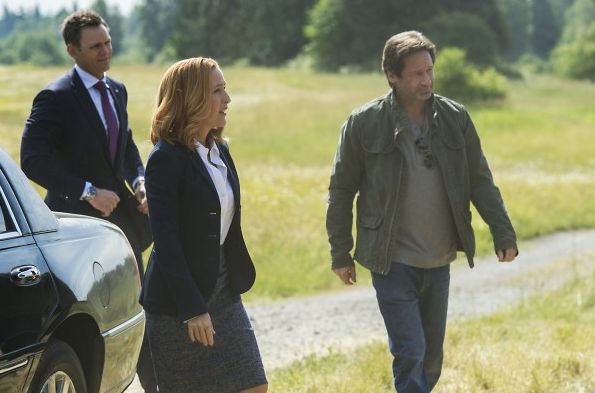 Gillian Anderson, David Duchovny and Joel McHale