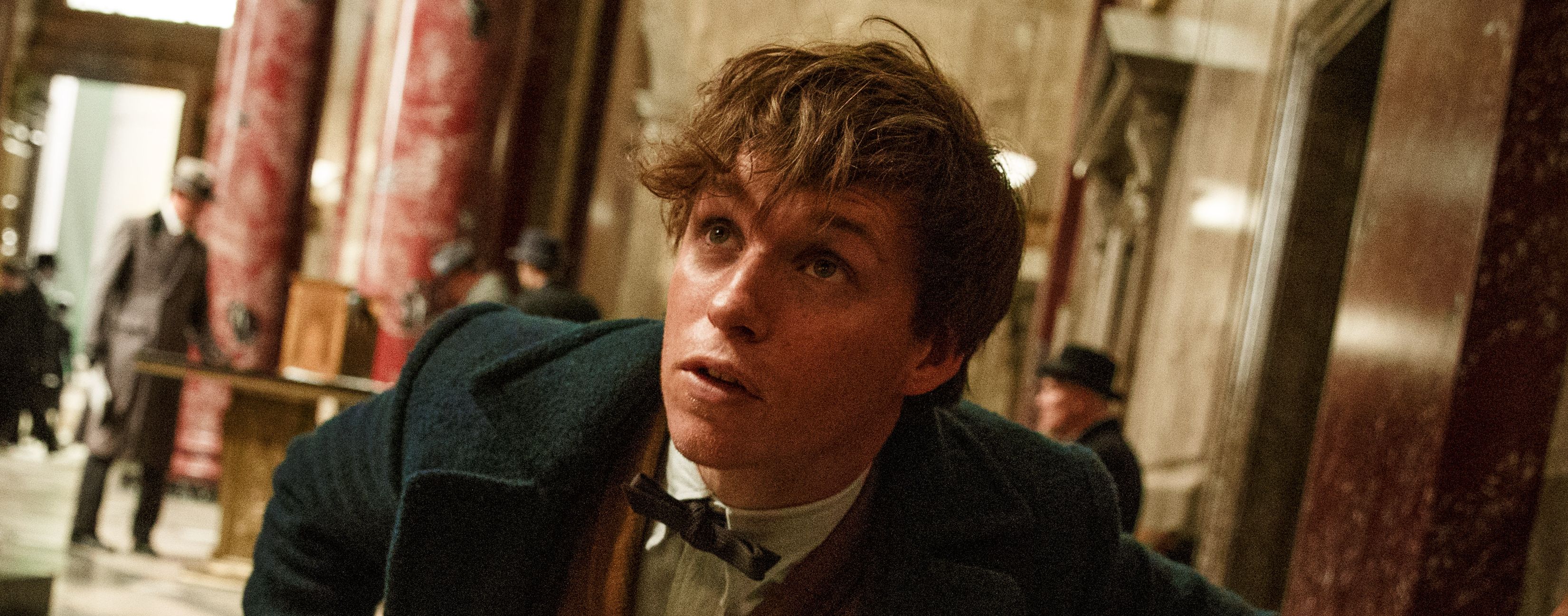 Eddie Redmayne, Fantastic Beasts and Where to Find Them