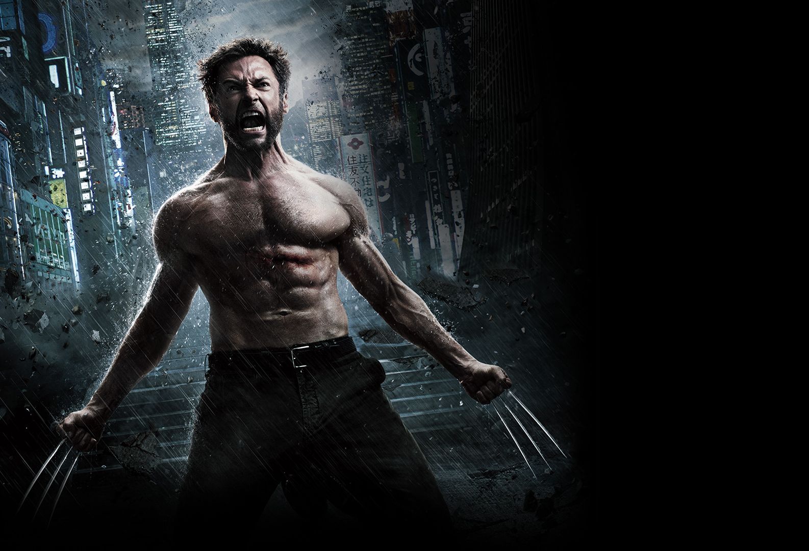 The Wolverine