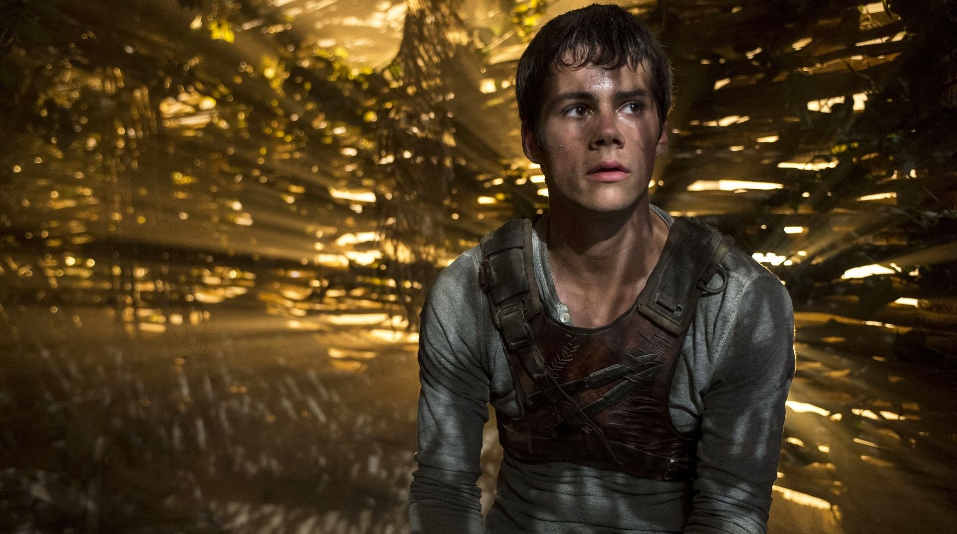 The Maze Runner - Dylan O'Brien