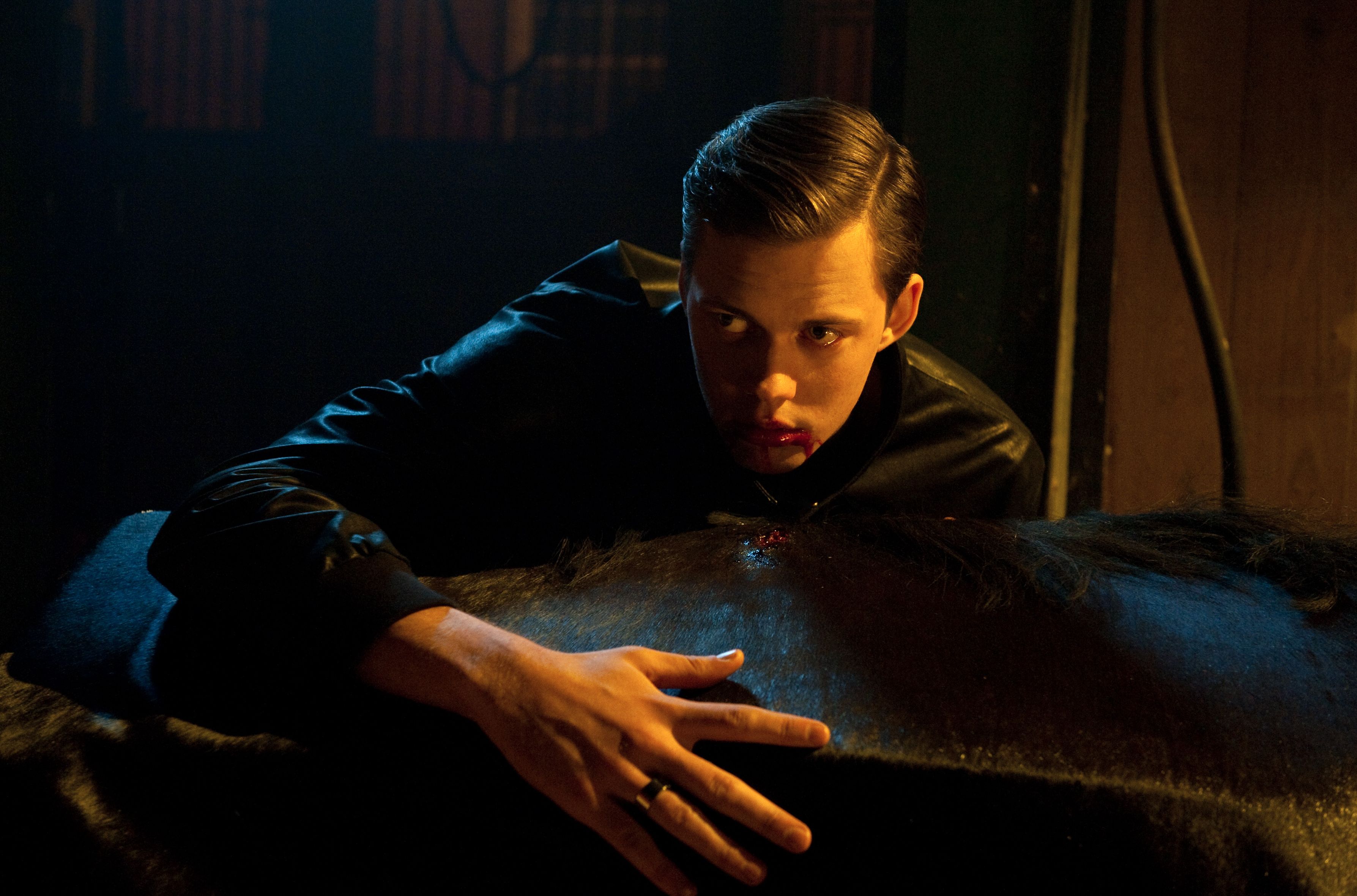 Bill Skarsgard cast in It