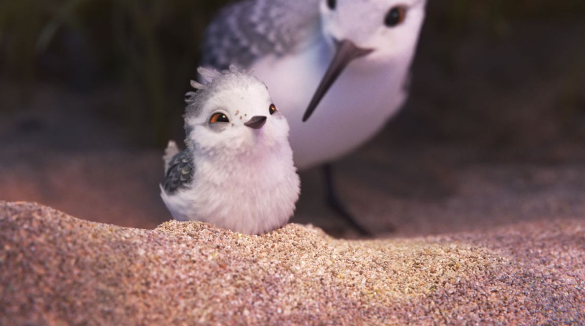 More screenshots from Pixar short 'Piper'