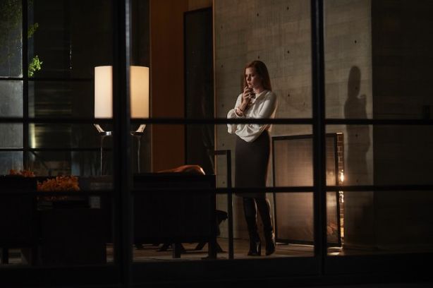 Amy Adams in &#039;Nocturnal Animals&#039;