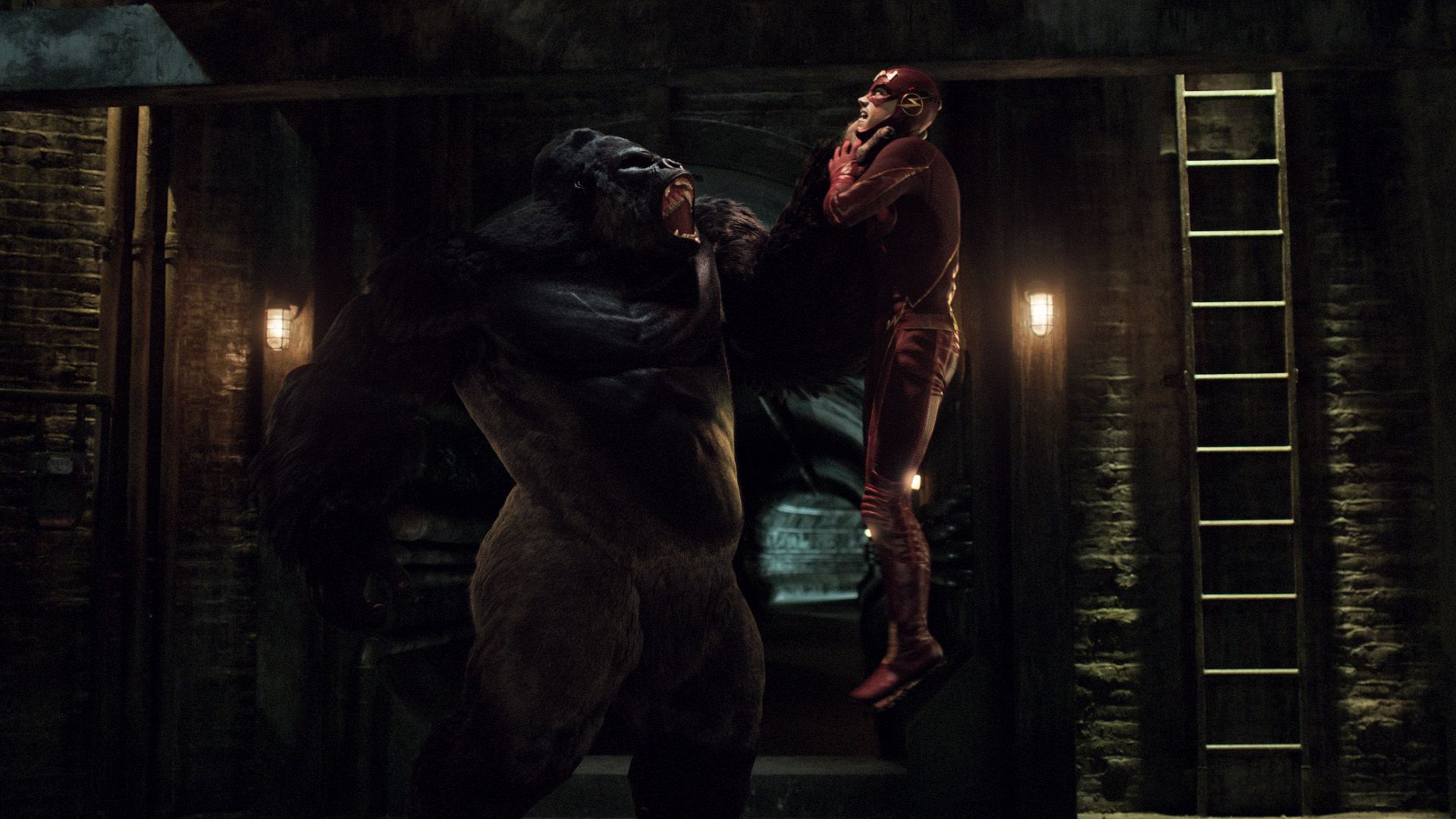 Gorilla Grodd versus The Flash