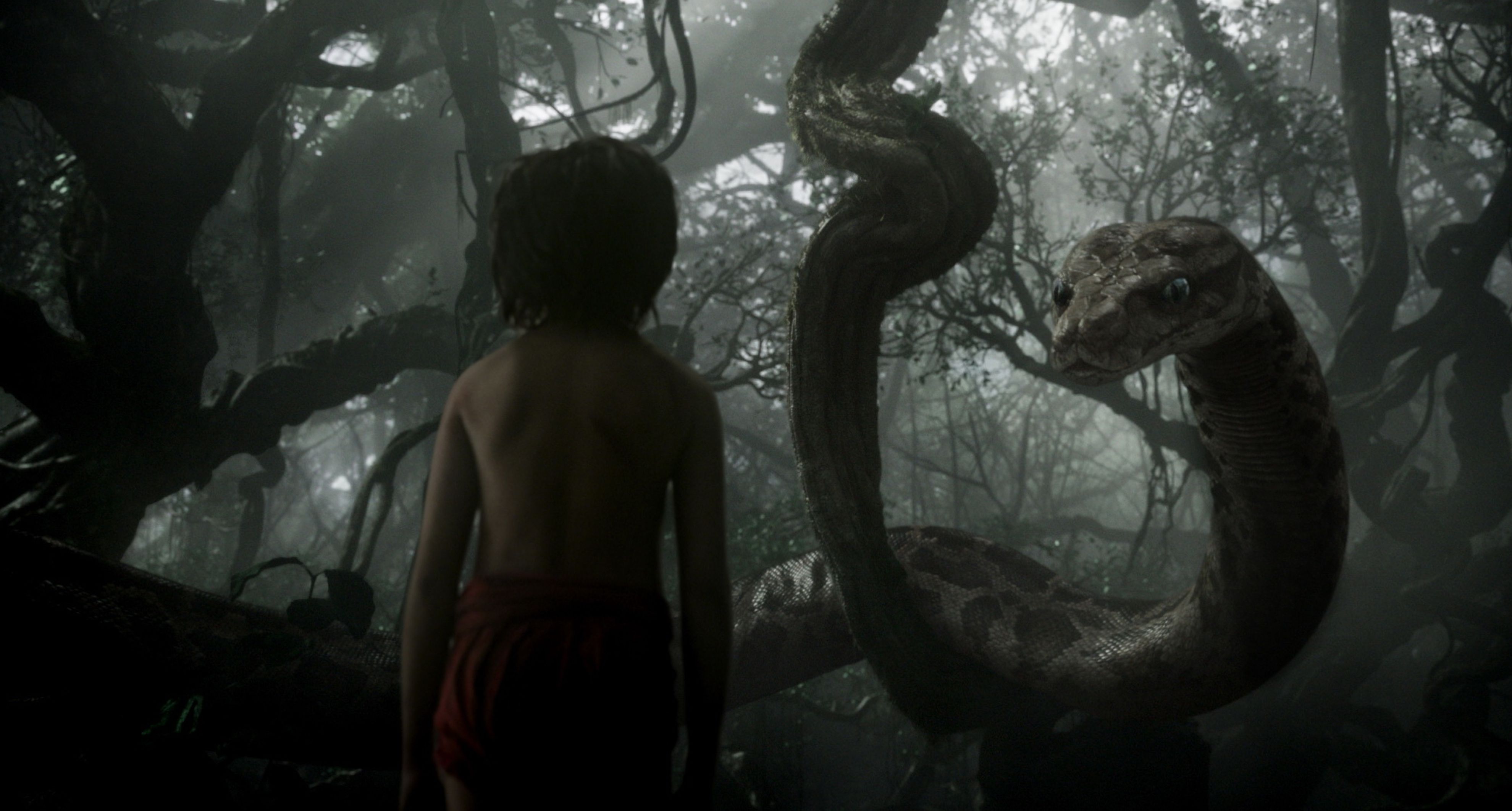 The Jungle Book image