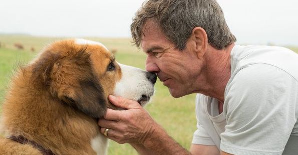Dennis Quaid and friend in &quot;A Dog&#039;s Purpose&quot;