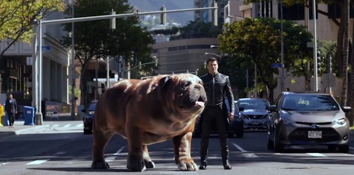 Lockjaw and Black Bolt from 'Marvel's Inhumans'