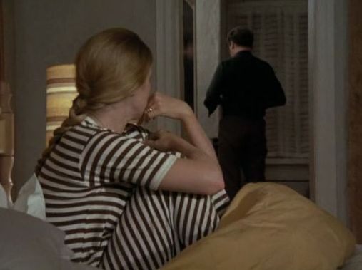 Liv Ullmann and Erland Josephson in Scenes from a Marriage