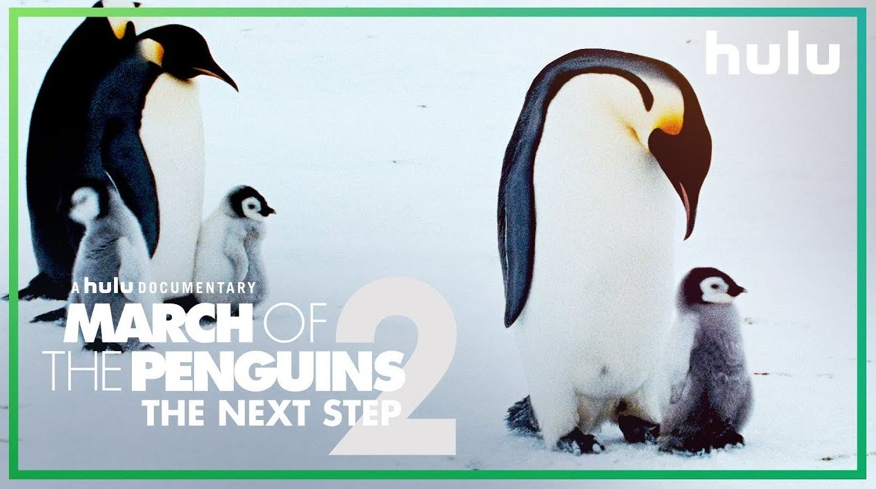 'March of the Penguins 2' debuts March 23rd on Hulu