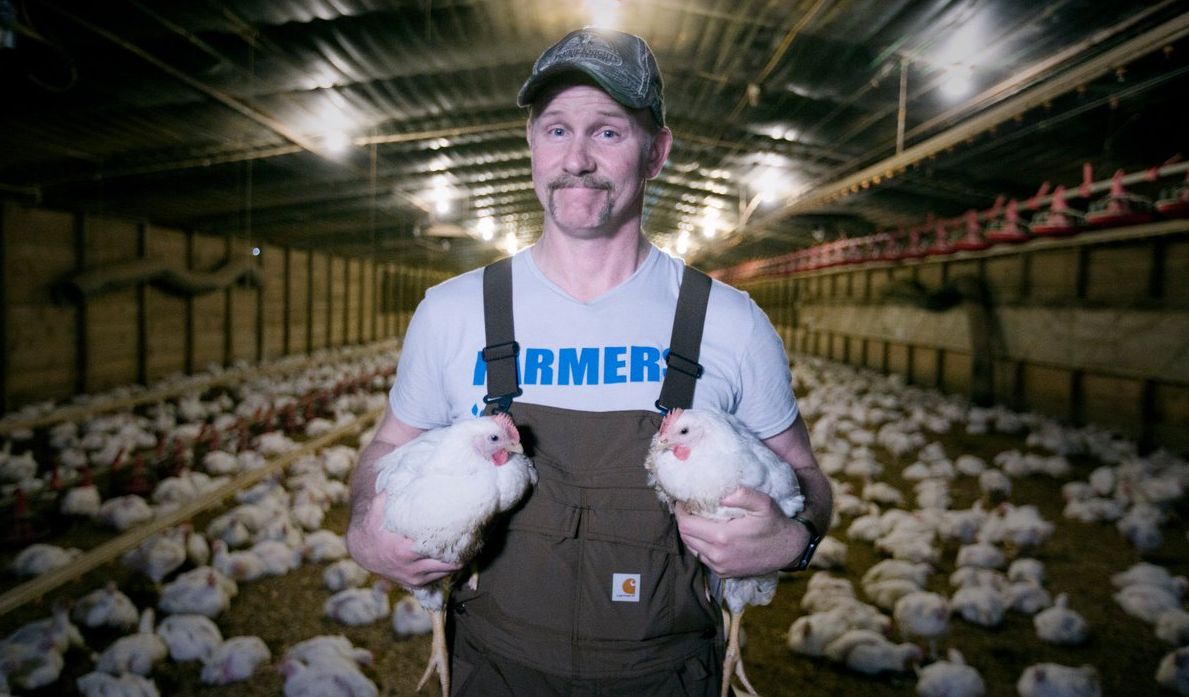 Morgan Spurlock, &#039;Super Size Me 2: Holy Chicken!&#039;