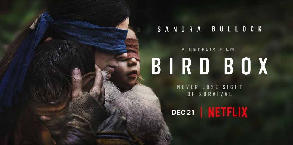 bird box