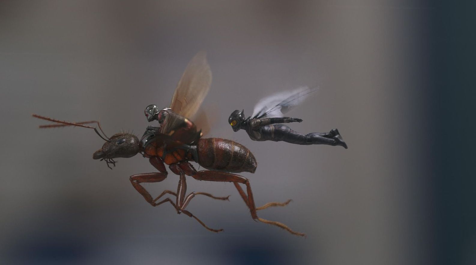 &#039;Ant-Man and the Wasp&#039; Walt Disney Studios