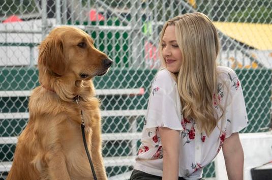 Enzo the Dog & Amanda Seyfried