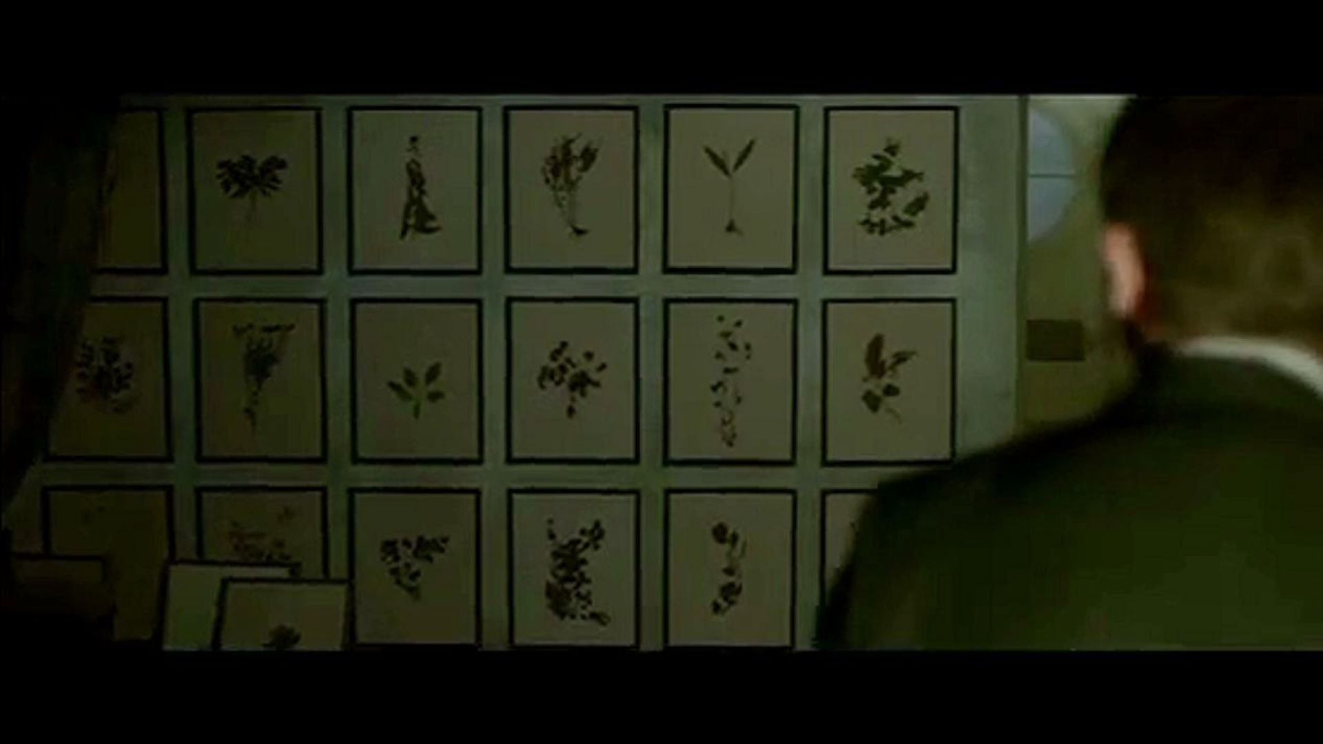 Christopher Plummer shows Daniel Craig the framed flowers in The Girl with the Dragon Tattoo