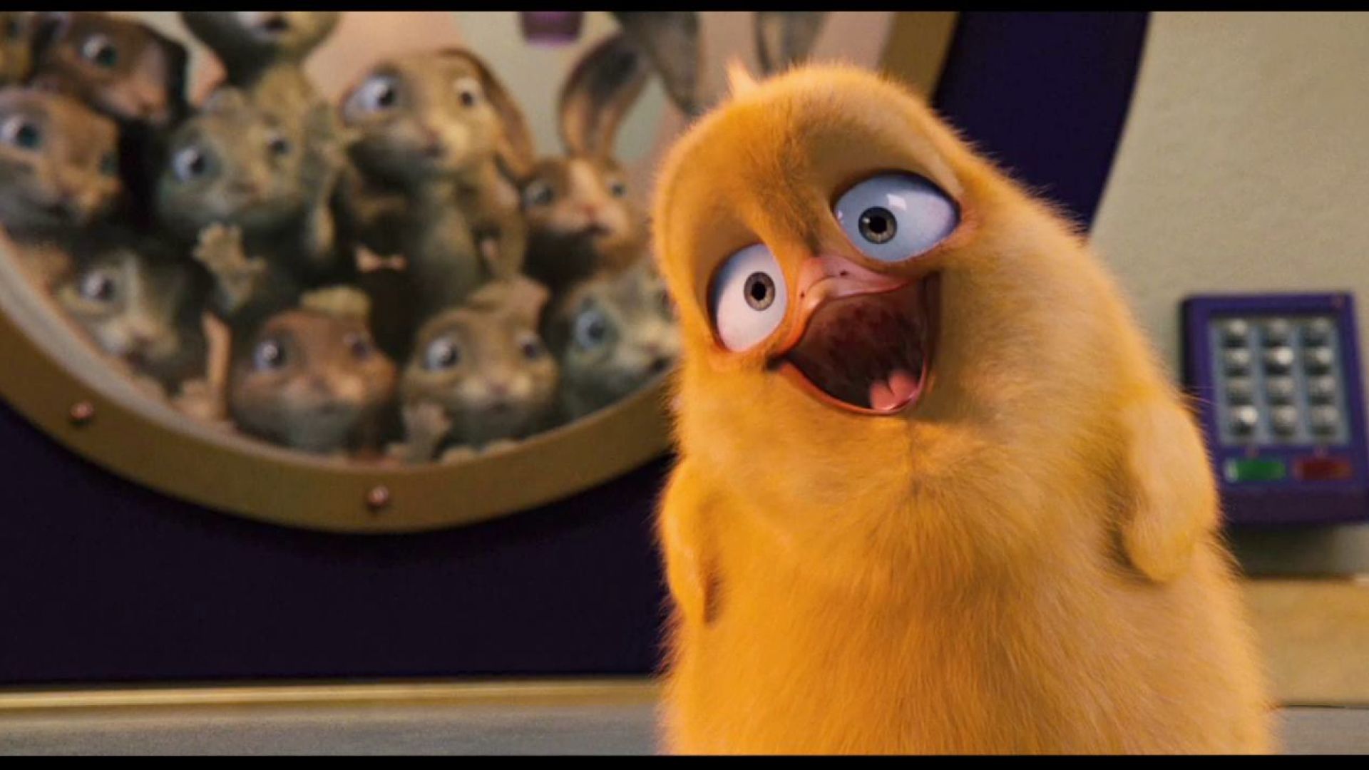 The Chick in Hop