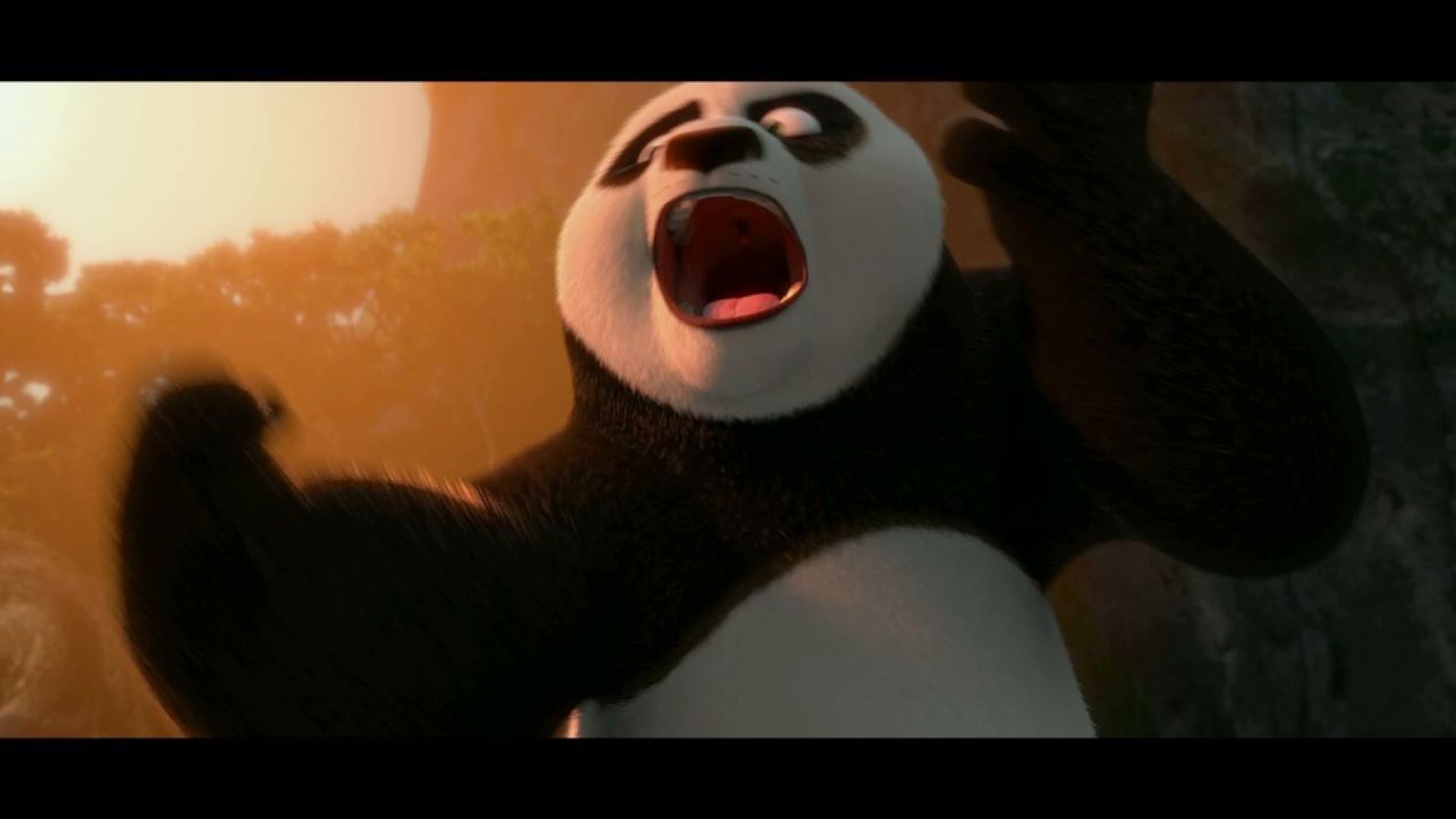 Po in Kung Fu Panda 2 