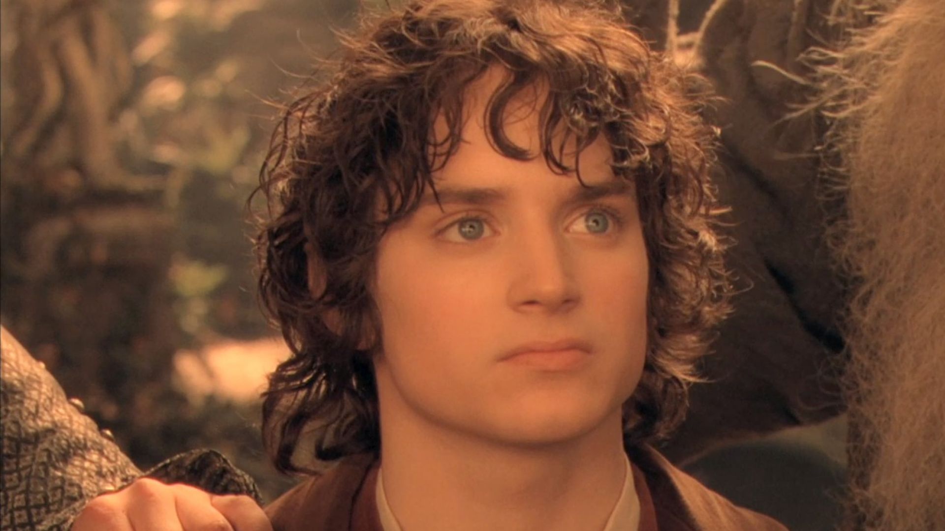Властелин колец бэггинс. Элайджа Вуд Фродо. Фродо Бэггинс. Хоббит Фродо Бэггинс. Элайджа Вуд Хоббит.