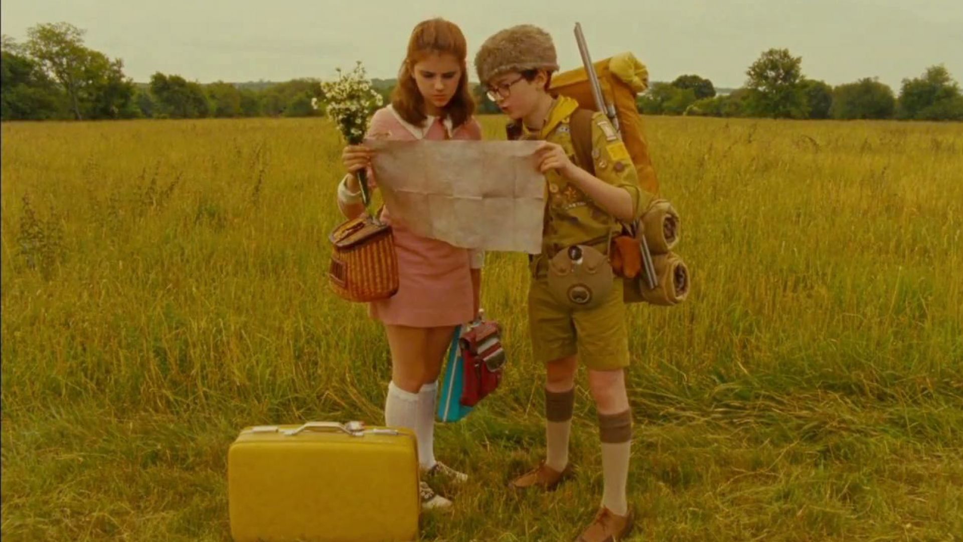 Is that a cat in there? Moonrise Kingdom