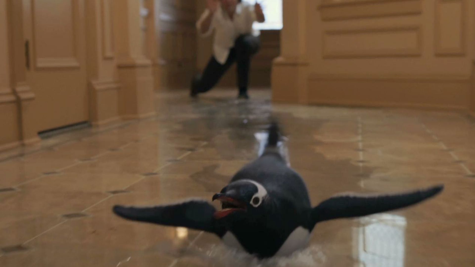 Mr. Poppers Penguins Music: Put your Flippers in the Air
