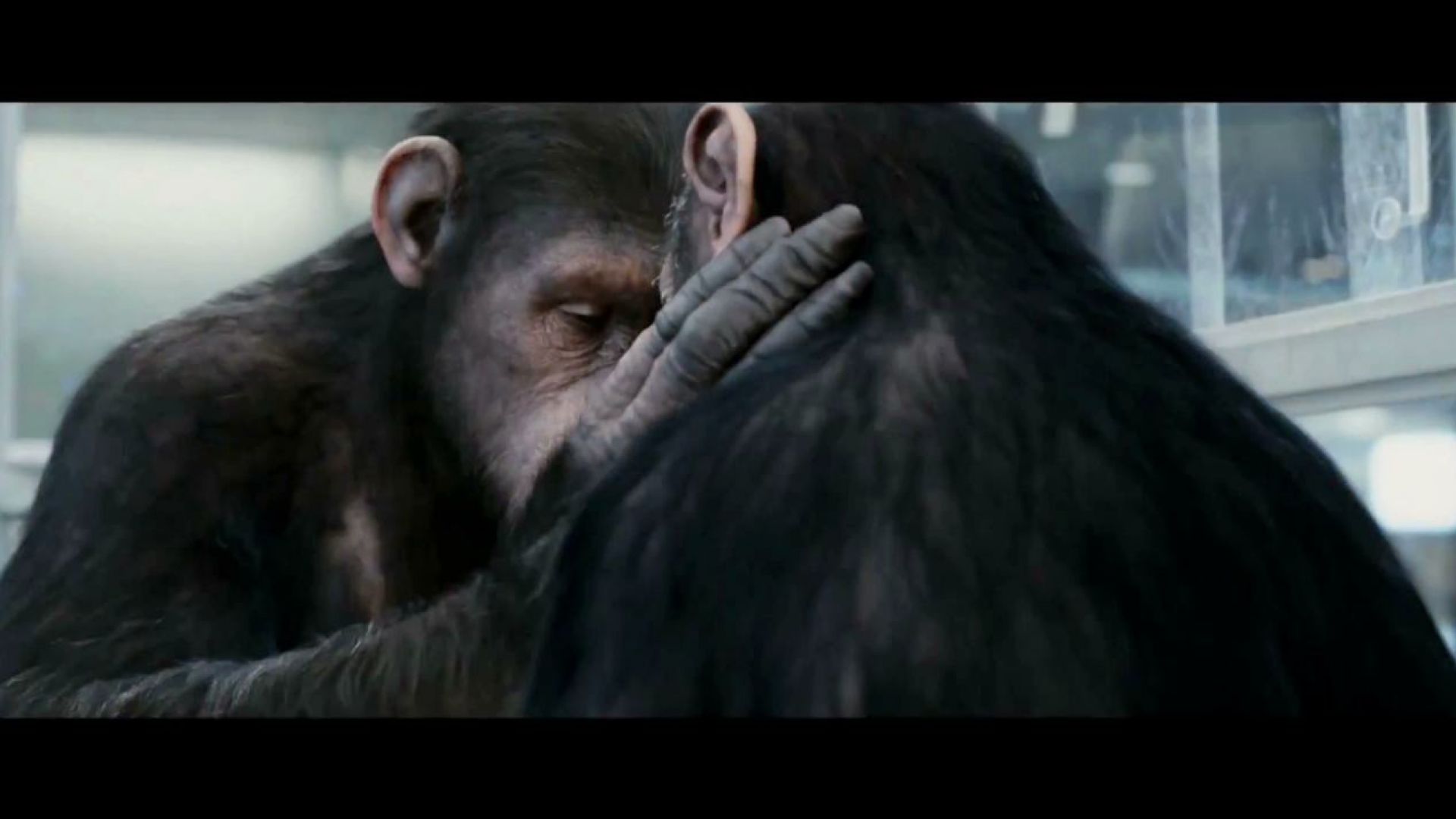 He&#039;ll learn who&#039;s boss soon enough. Rise of the Planet of the Apes