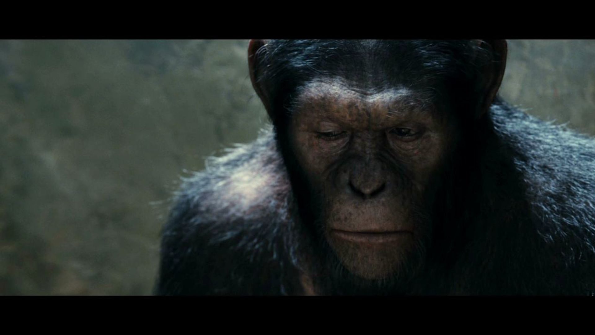 They&#039;re not people you know. Rise of the Planet of the Apes