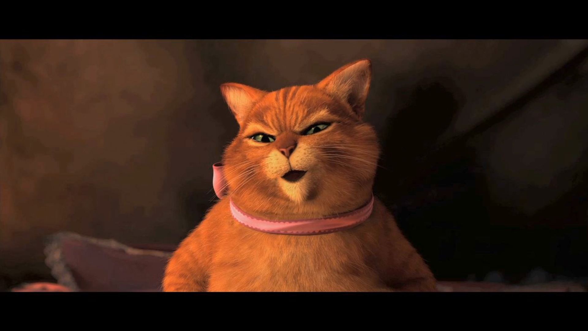 What Happened to Puss in Shrek Forever After
