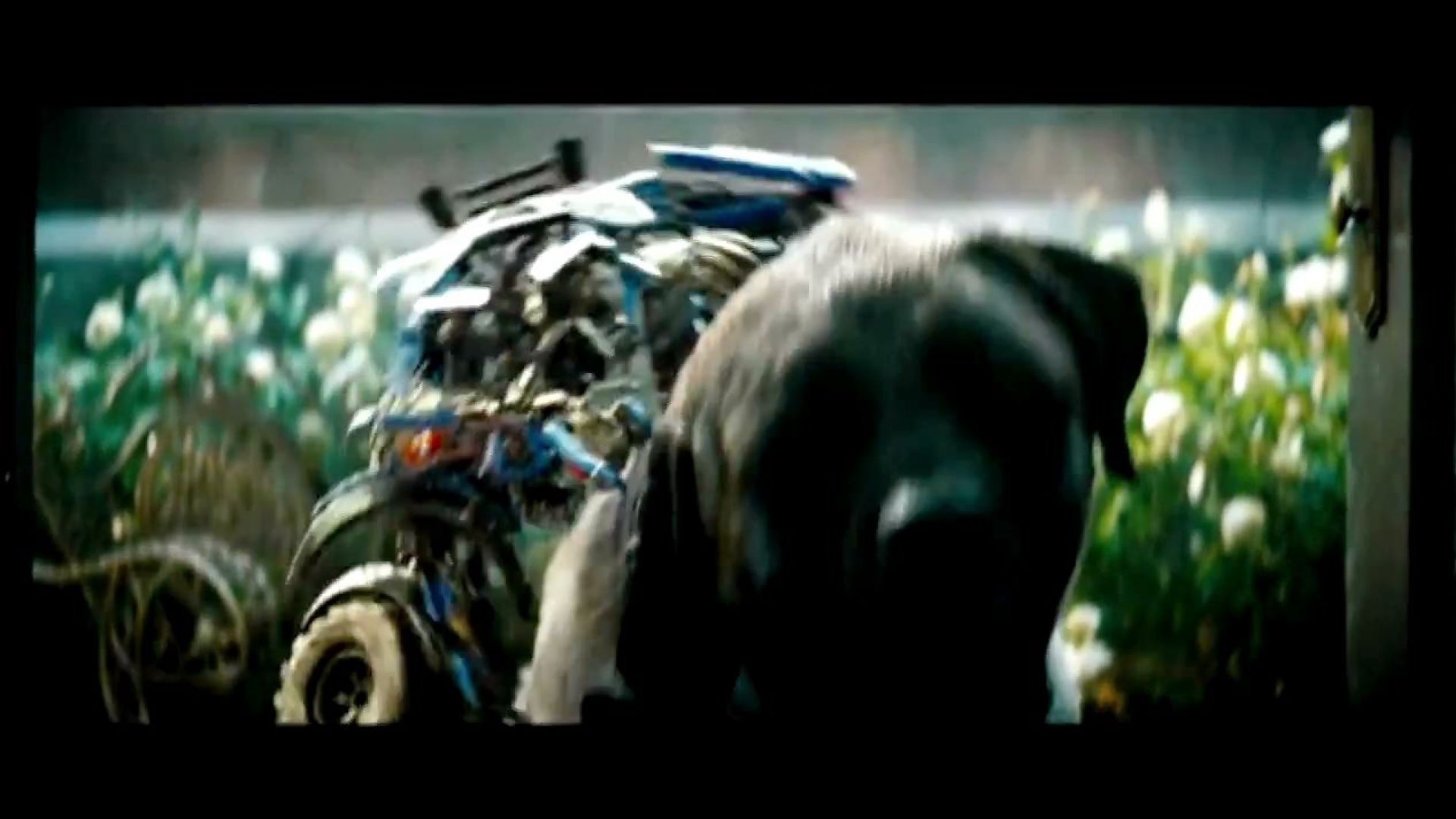 Get out here little doggy! Transformers 3