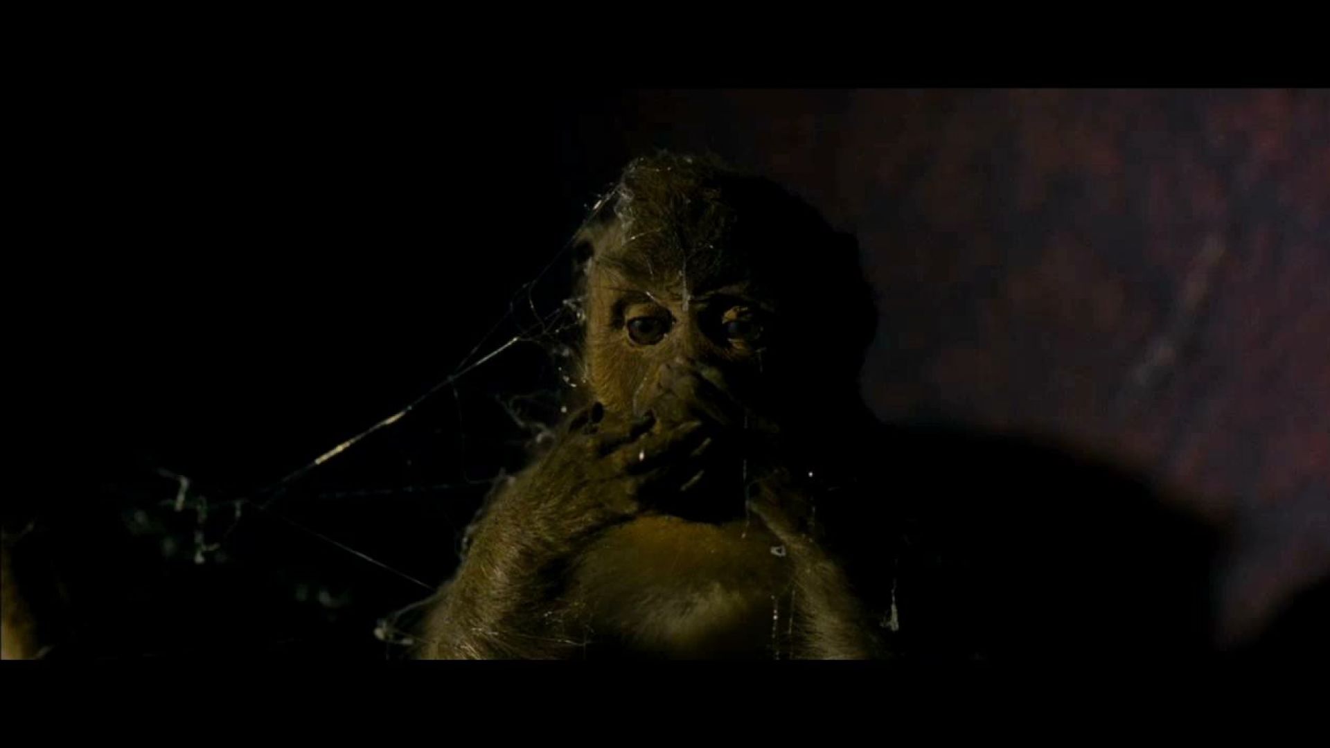 The Monkey is scared in The Woman in Black
