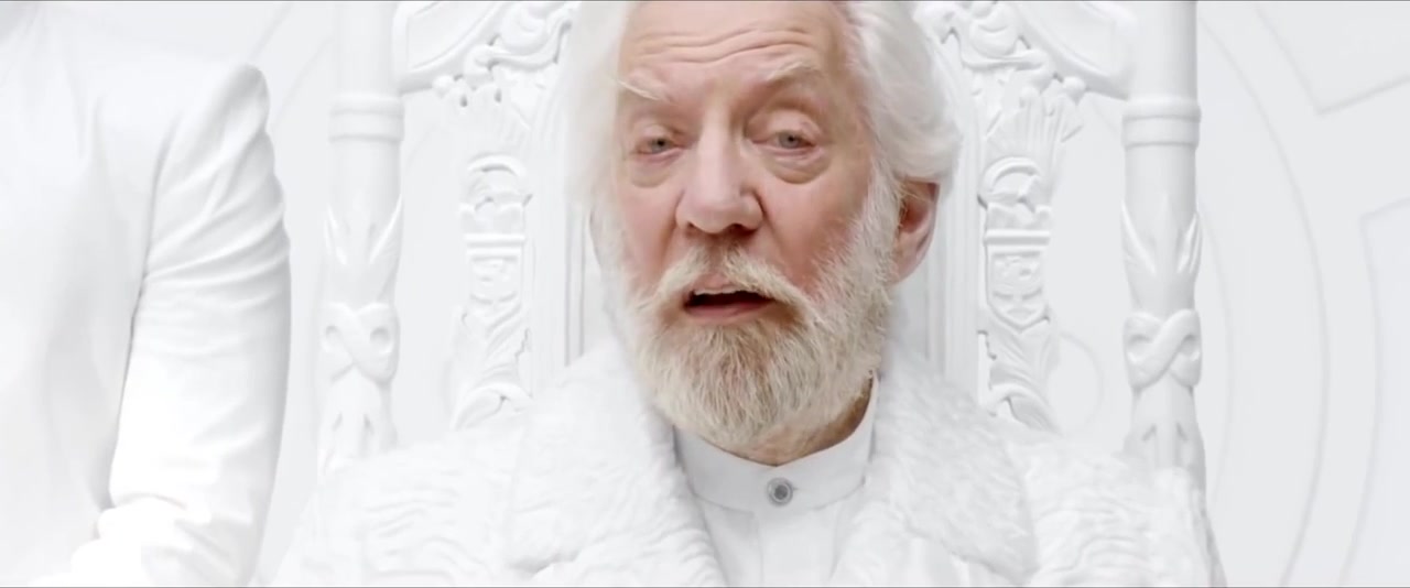 The Hunger Games: Mockingjay, Part 1 - President Snow&#039;s Pane