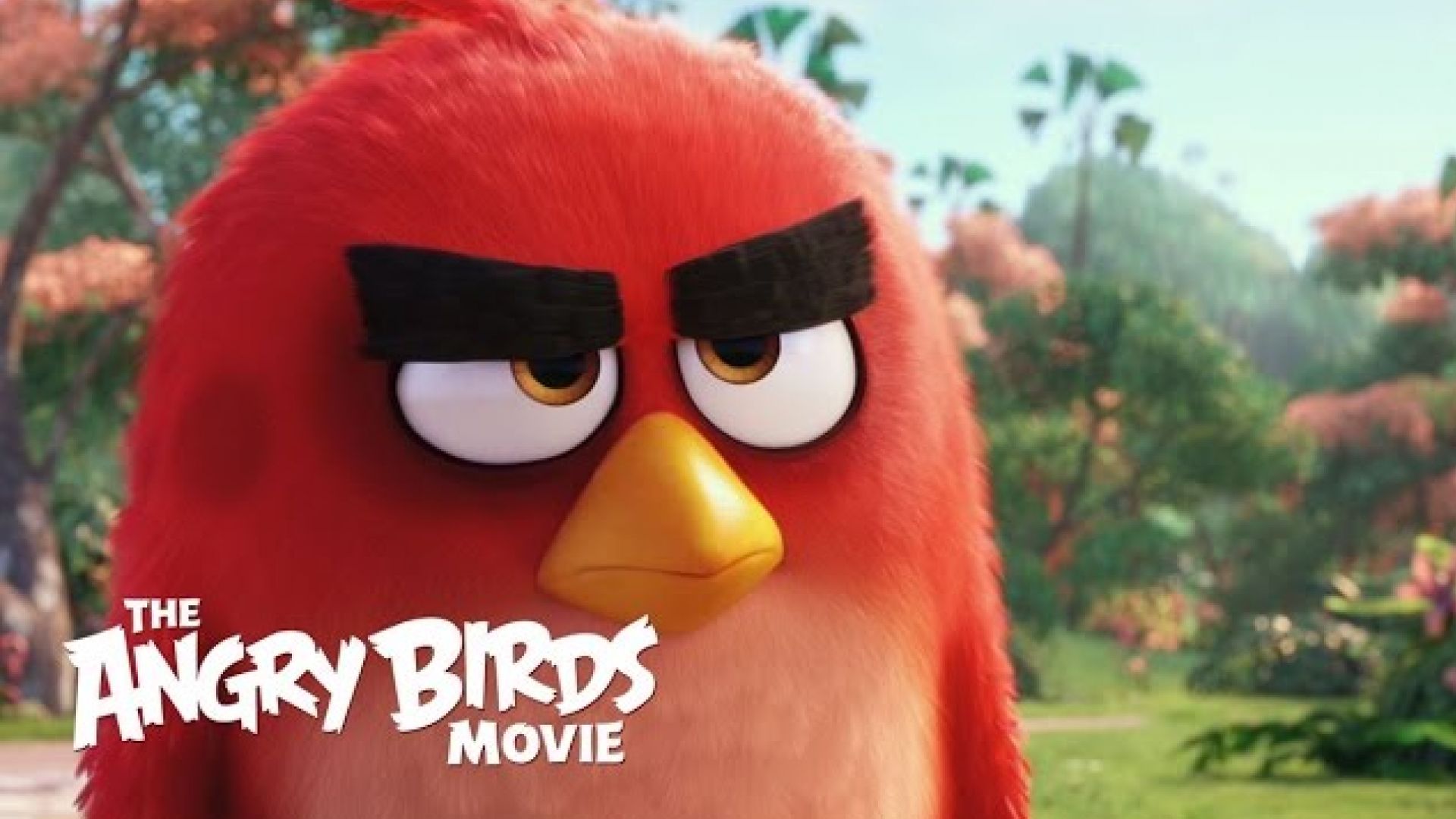 Angry Birds work on their Anger in Angry &#039;The Angry Birds&#039; T